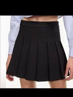 Aritzia Sunday Best Pleated Skirt